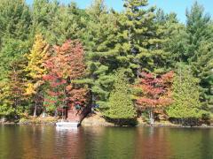 Thursday October 04, 2007 03:50 - COUPLE DAYS AT MORRIS'S COTTAGE IN OCTOBER 060.jpg